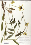 000060689-thumbnail.jpg