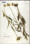 000060691-thumbnail.jpg