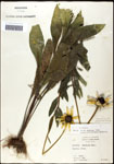 000060692-thumbnail.jpg