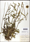 000060693-thumbnail.jpg
