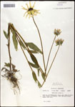 000060723-thumbnail.jpg