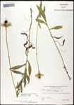 000060724-thumbnail.jpg