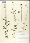 000060725-thumbnail.jpg