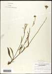 000060727-thumbnail.jpg