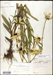 000060728-thumbnail.jpg