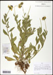 000060729-thumbnail.jpg