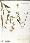 000060730-thumbnail.jpg