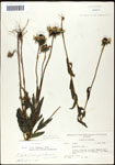 000060731-thumbnail.jpg