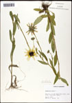 000060732-thumbnail.jpg
