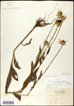 000060734-thumbnail.jpg