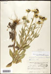 000060735-thumbnail.jpg