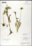 000060736-thumbnail.jpg