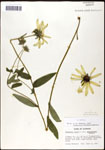 000060737-thumbnail.jpg