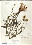 000060738-thumbnail.jpg