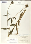000060739-thumbnail.jpg