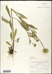 000060740-thumbnail.jpg
