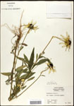 000060741-thumbnail.jpg
