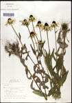 000060742-thumbnail.jpg