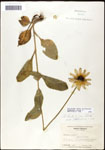 000060743-thumbnail.jpg