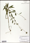 000060744-thumbnail.jpg