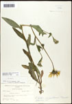 000060745-thumbnail.jpg