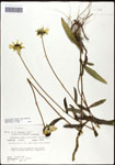 000060746-thumbnail.jpg