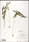 000060747-thumbnail.jpg