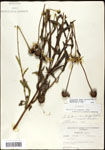 000060749-thumbnail.jpg