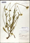 000060750-thumbnail.jpg