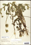000060751-thumbnail.jpg