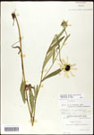 000060752-thumbnail.jpg
