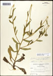 000060754-thumbnail.jpg