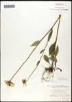 000060755-thumbnail.jpg