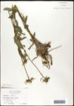 000060756-thumbnail.jpg