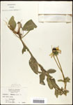 000060757-thumbnail.jpg