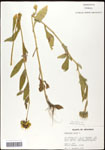 000060758-thumbnail.jpg