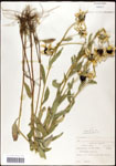 000060759-thumbnail.jpg