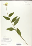 000060760-thumbnail.jpg