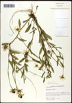 000060761-thumbnail.jpg