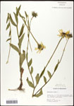 000060762-thumbnail.jpg