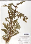 000060763-thumbnail.jpg