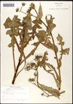 000060764-thumbnail.jpg
