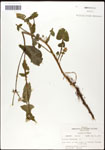 000060765-thumbnail.jpg