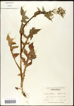 000060766-thumbnail.jpg
