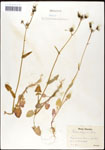 000060767-thumbnail.jpg