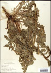 000060768-thumbnail.jpg