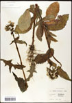 000060769-thumbnail.jpg