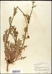 000060770-thumbnail.jpg