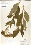 000060772-thumbnail.jpg