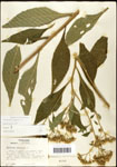 000060773-thumbnail.jpg